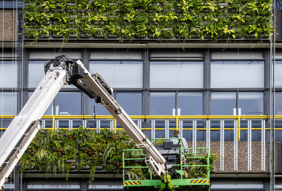Groengevel bedrijfspand (2)
