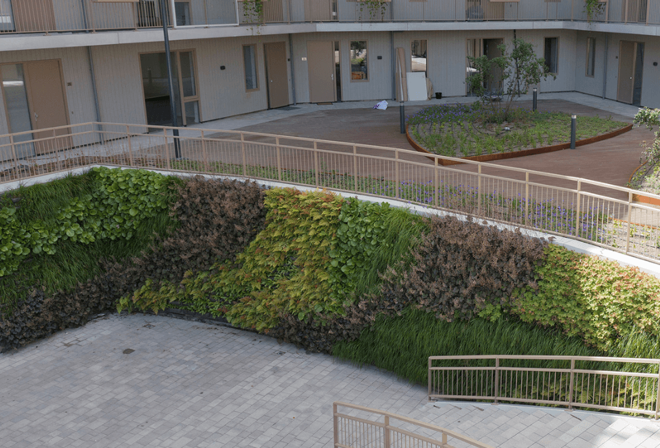 Groengevel (1)