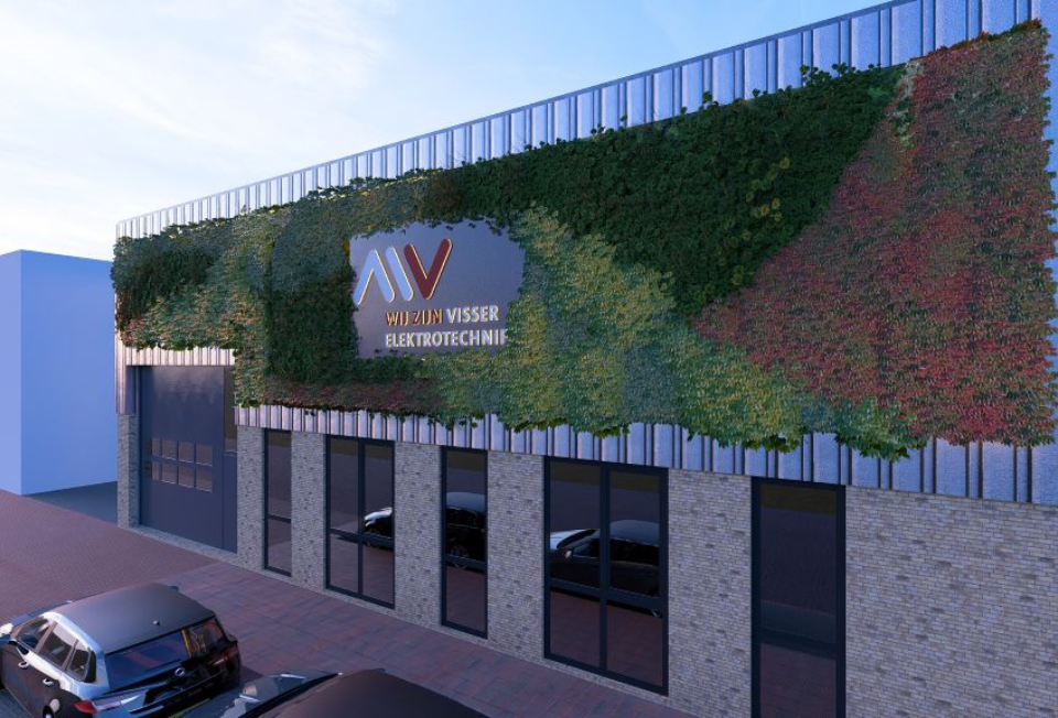 Vissser groengevel (1)