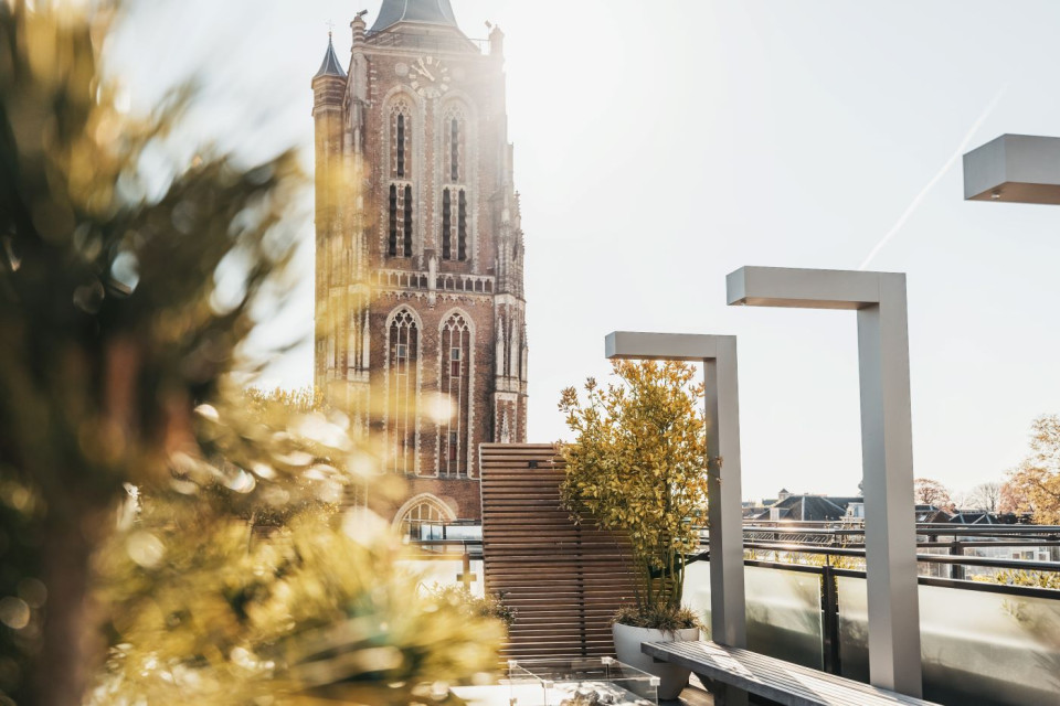 Modern dakterras ontwerp houten bank stalen elementen pergola planten potten meerstammigebomen siergrassen houten vloer sfeer idee