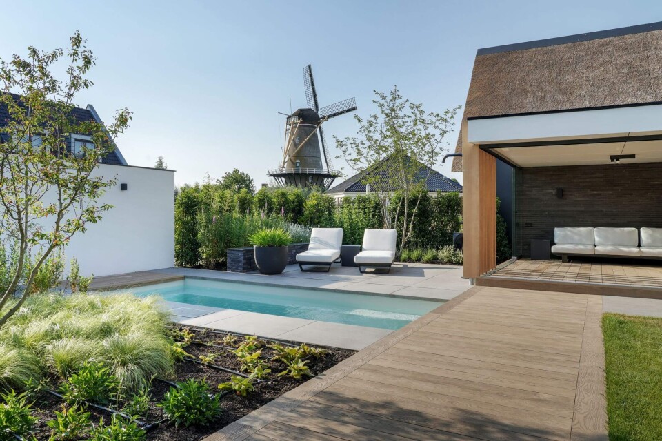 Robert Koelewijn Fotografie   Bongers   Bergambacht   150623   073