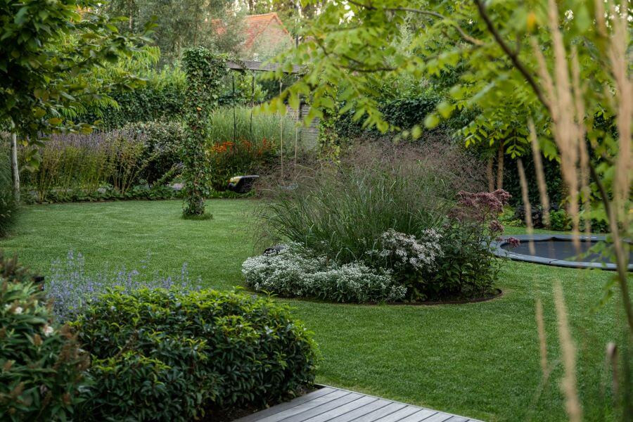 tuin in rotterdam borderplan beplanting beplantingsplan wintergroen