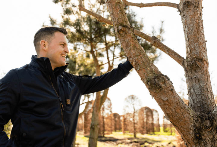 Boomverzorging door hovenier Rotterdam: snoeien en inspecteren voor gezonde en veilige bomen